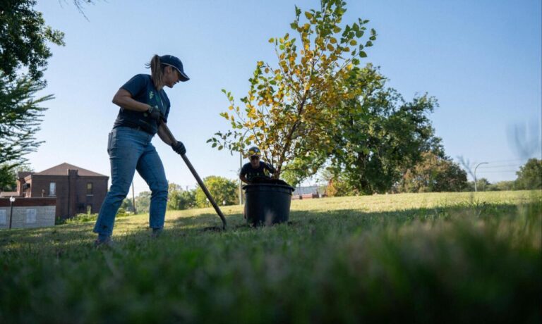 September, 2025 Newsletter