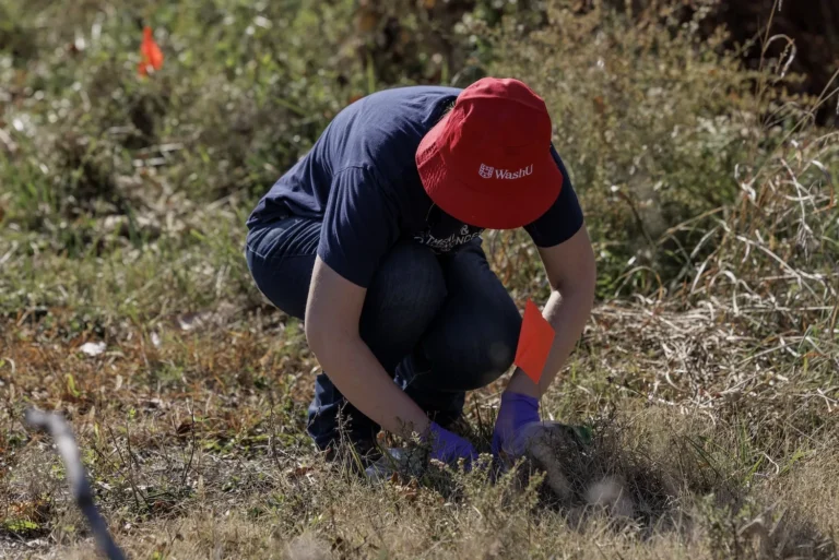 Post-tornado soil tests find that lead is a problem—but not a new one