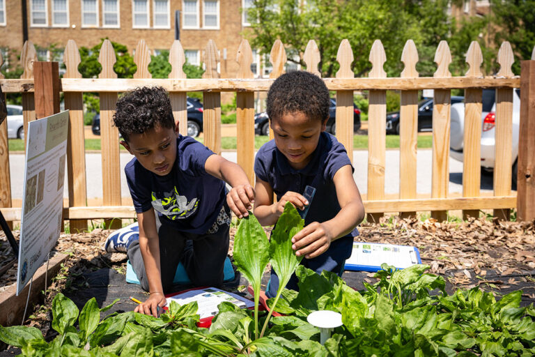 ‘Plants get sick!’: WashU scientists, U. City students research plants together
